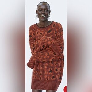 Zara Brown Leopard Print Sweater Dress
